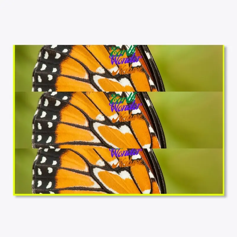 Earth Wonder Nature Butterfly Stickers