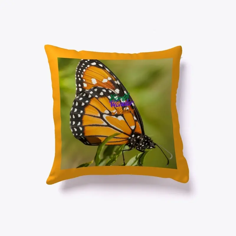 Butterfly Pillow 