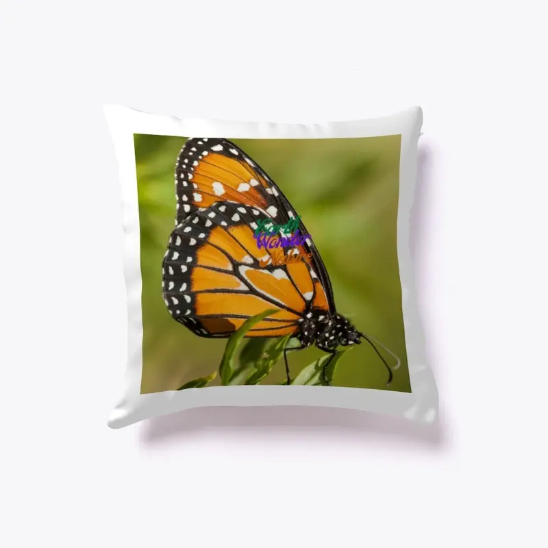 Butterfly Pillow